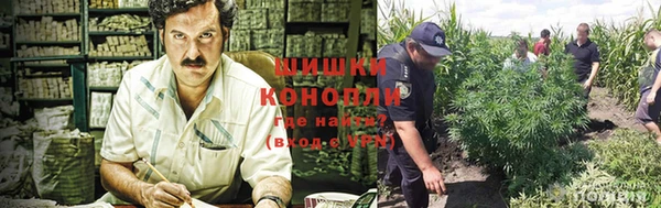 метадон Белоозёрский