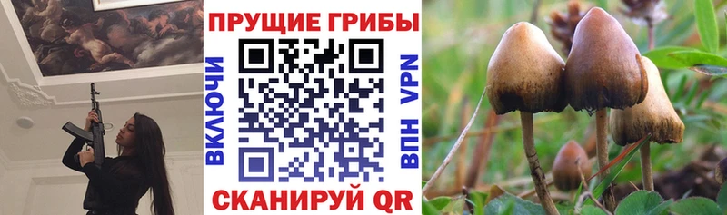 наркошоп  Верхнеуральск  Псилоцибиновые грибы MAGIC MUSHROOMS 